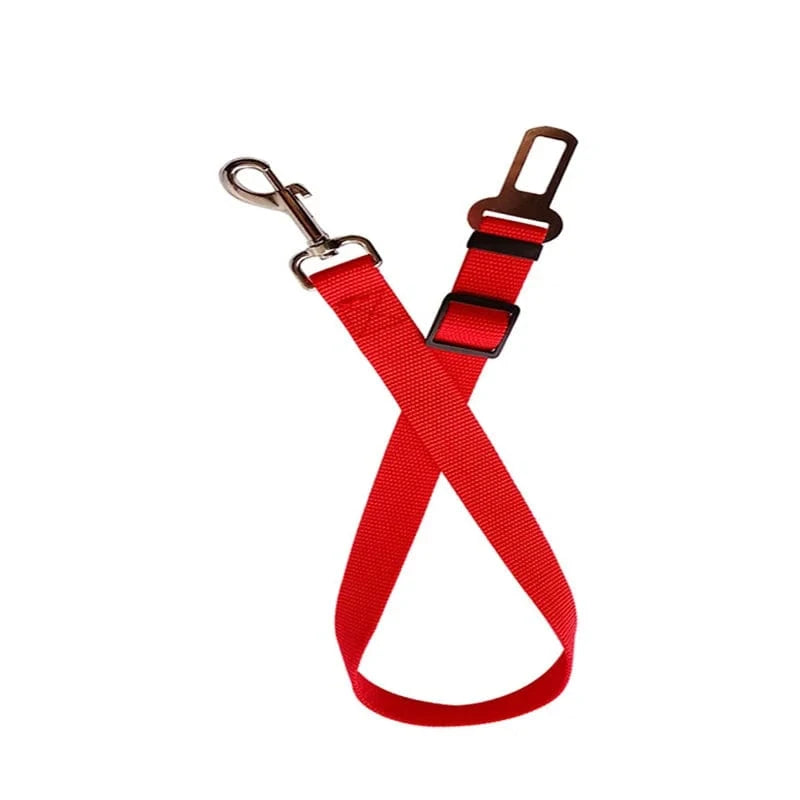 Telescopic Traction Rope for Dog