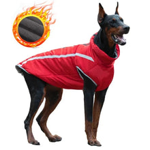 Fleece Lined Dog Coat