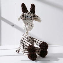 Plush Dog Donkey Squeaky Chew Toy