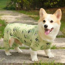 Dog & Cat Cooling Jumpsuit | Breathable Mesh Pet Clothes XS–4XL