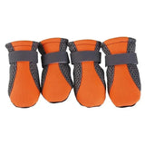 Hot Pavement Boots for Dogs