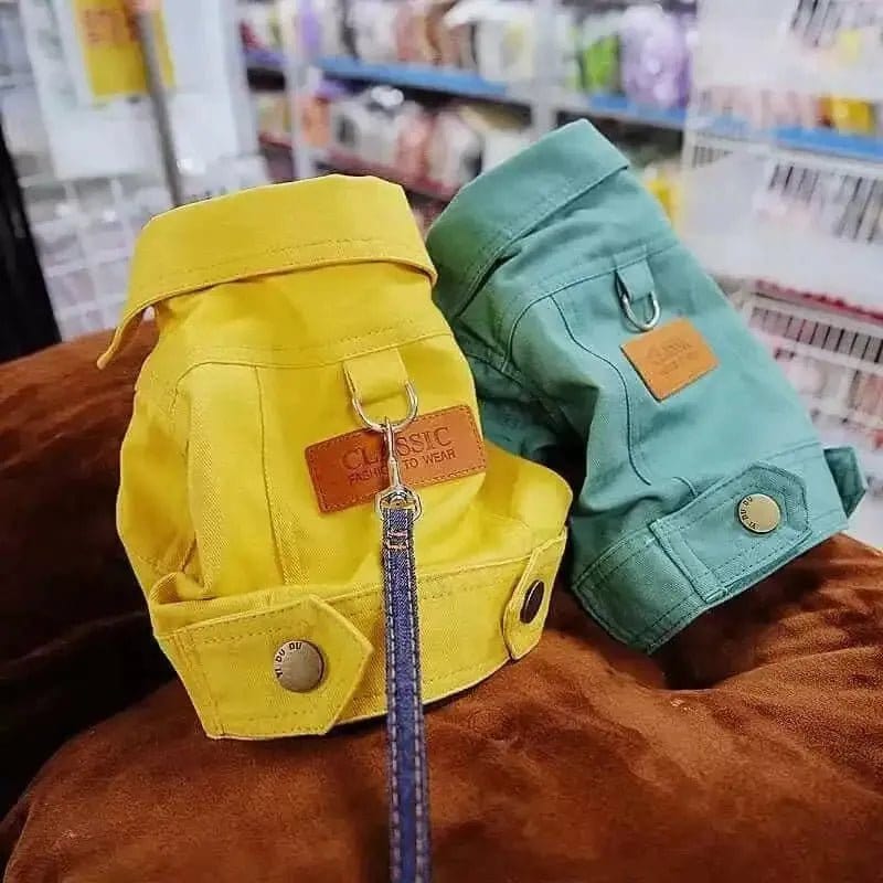 Dog Apparel