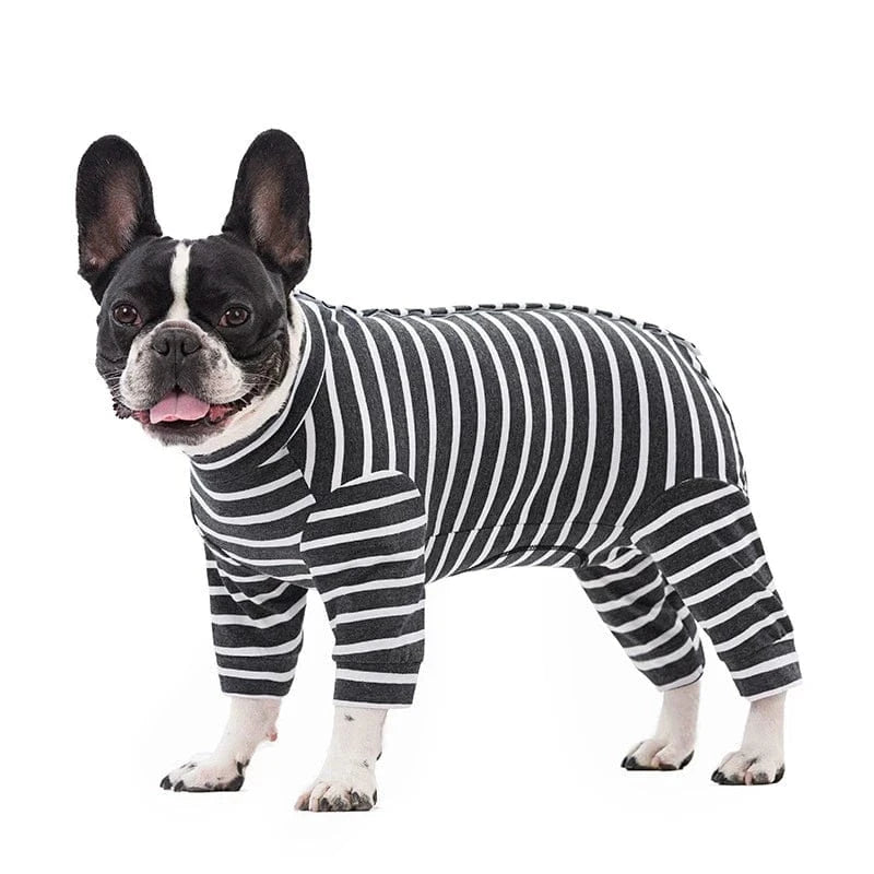 A dog wearing striped pajamas with legs on a white background.