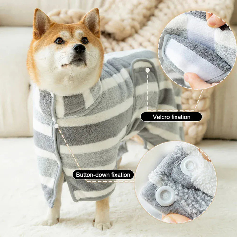 Dog wearing a striped outfit with close-up insets showing Velcro and button fixation details.