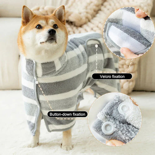 Dog wearing a striped outfit with close-up insets showing Velcro and button fixation details.