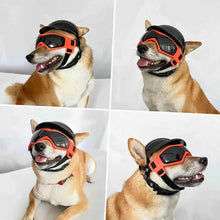 Dog Goggles Motorcycle Helmet