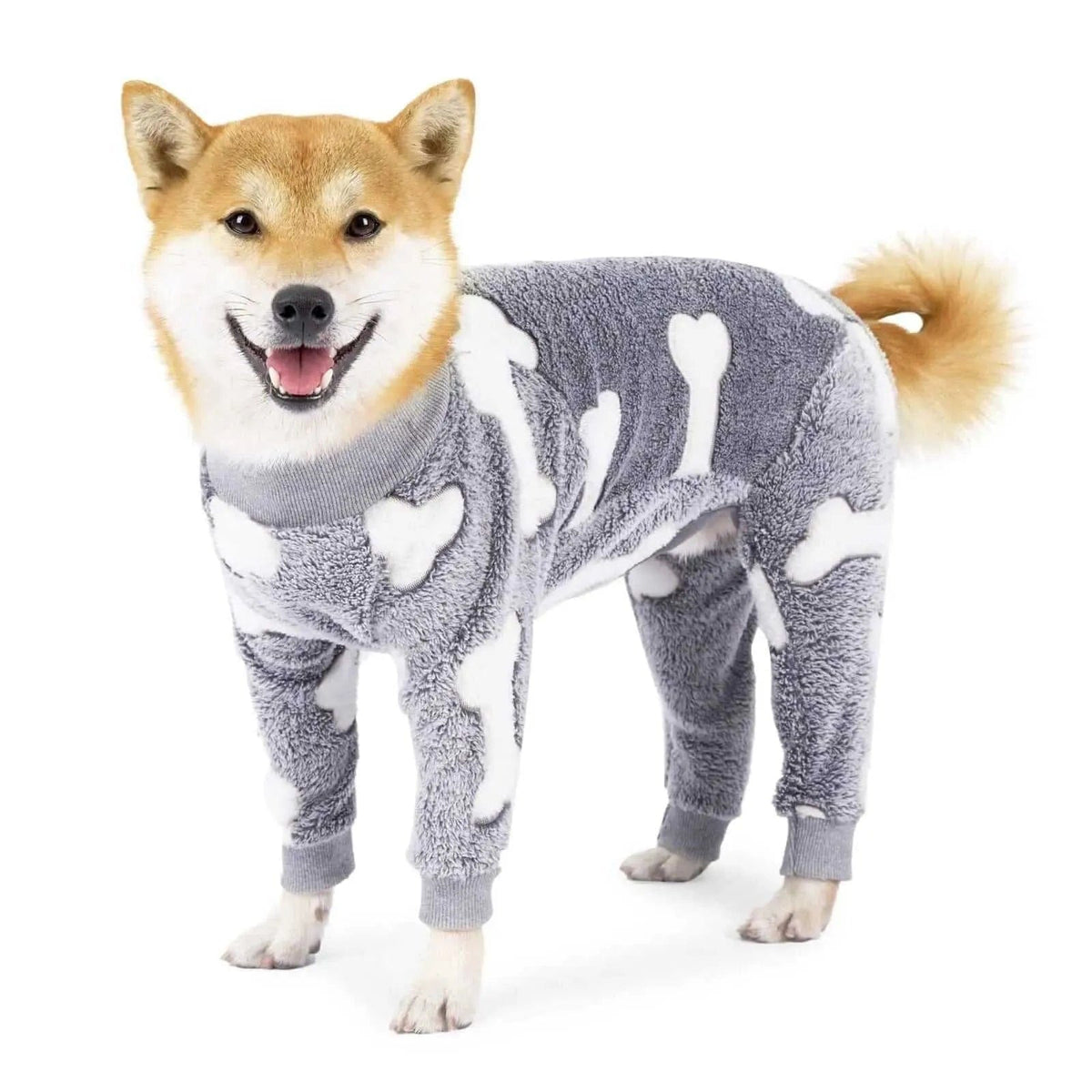 Shiba Inu dog wearing a gray and white bone-patterned fleece pajama suit with ribbed cuffs.