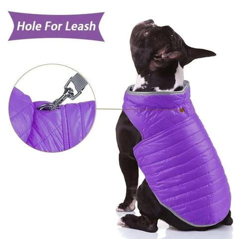 Reversible Dog Vest