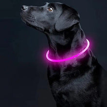 LED Micro USB Adjustable Safety Glow in the Dark Dog Collar