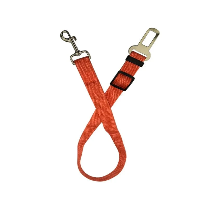 Telescopic Traction Rope for Dog