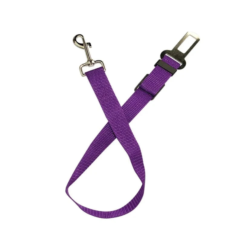 Telescopic Traction Rope for Dog