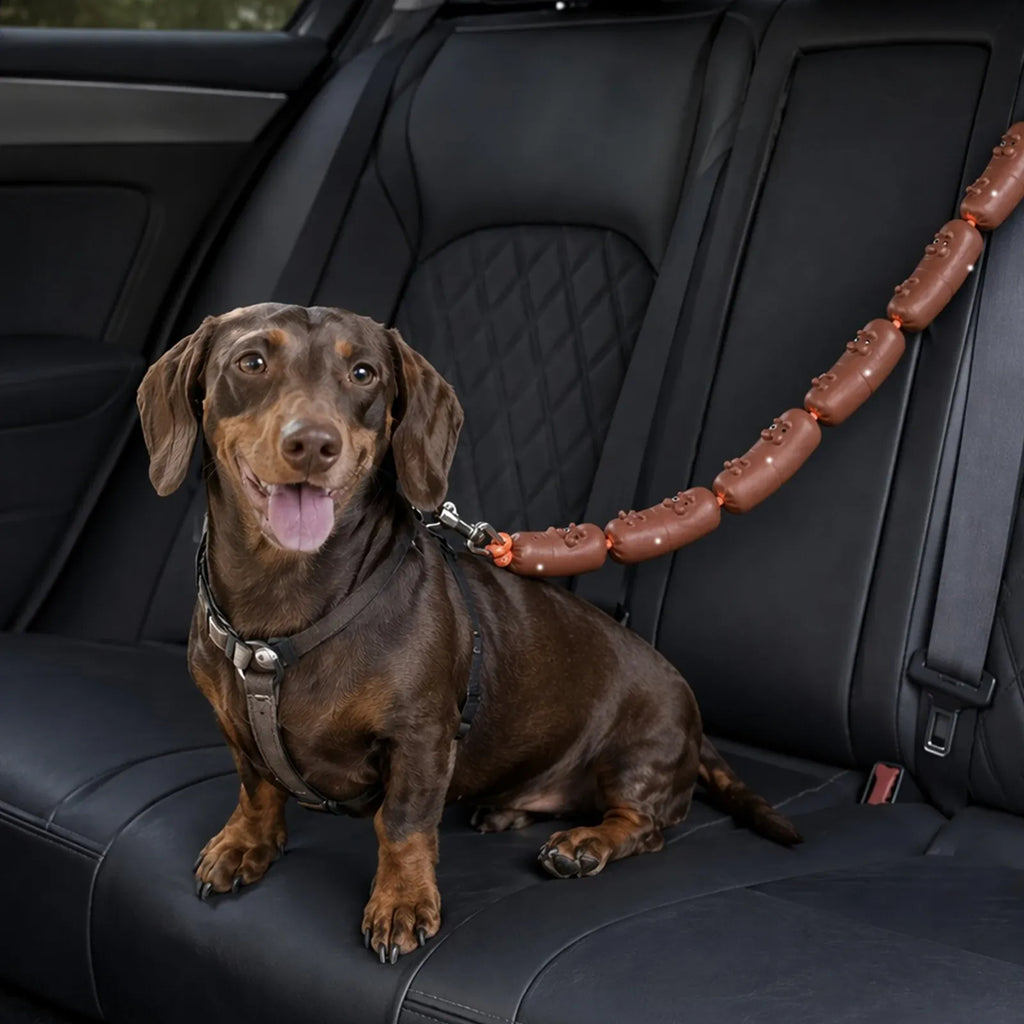 A brown dachshund sitting on a black leather car backseat, wearing a black harness and attached to a brown leash made of sausage-shaped links with small chocolate-coated pieces.