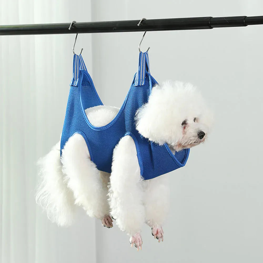 Small white dog in a blue pet hammock hanging from a rod.