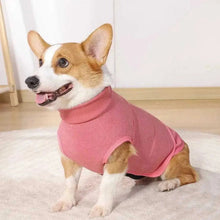 Calming vests for dogs