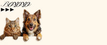 Interactive Dog Puzzle Toy