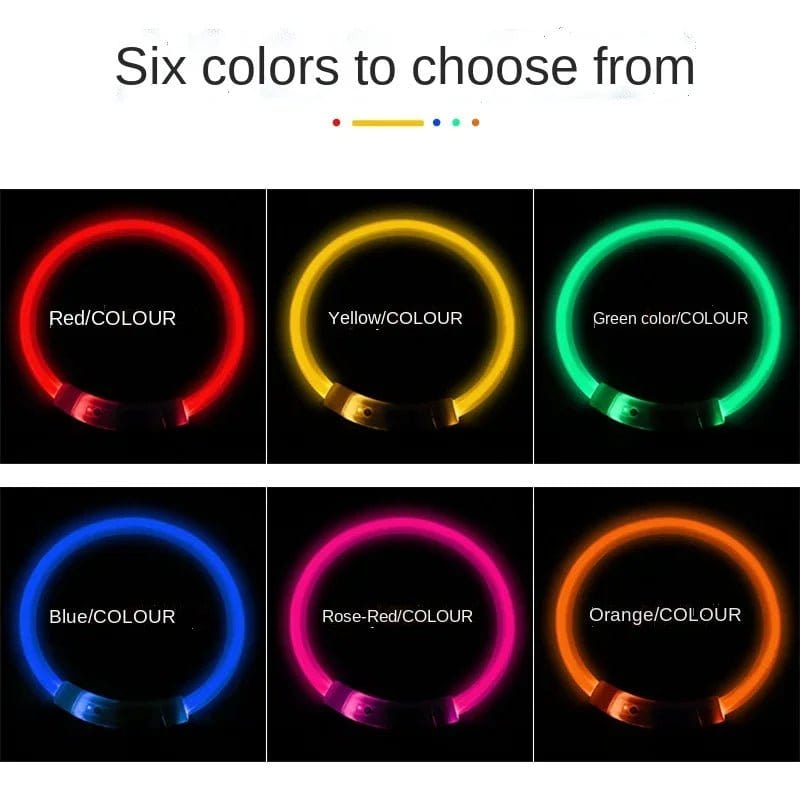 Glow in the Dark Dog  Collar