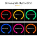 Glow in the Dark Dog  Collar