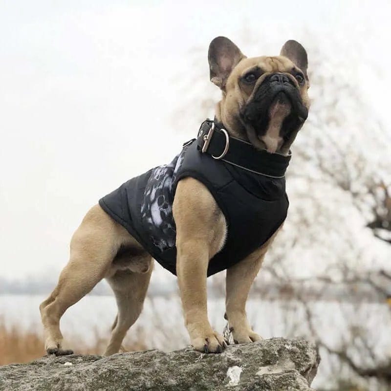 Dog Puffer Jacket