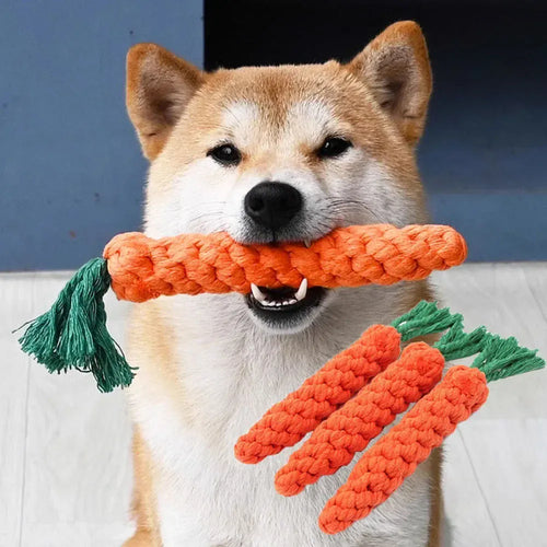 Dog holding a chew toy shaped like a carrot with green tassels.