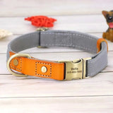 Personalized Laser Engraved Genuine Leather Dog Collar