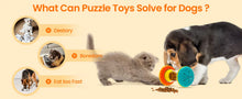 Interactive Dog Puzzle Toy