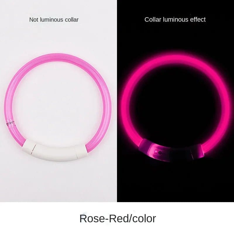 Glow in the Dark Dog  Collar