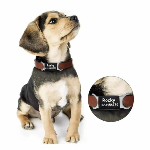 Slide On Personalized Dog ID Tag