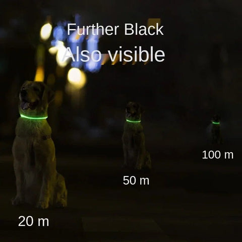 Luminous Glowing Micro USB Adjustable Safety Dog  Collar