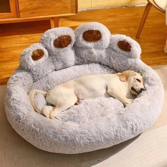 Bear Paw Dog Bed Hotdiggidydog Canada Apparel and Accessories