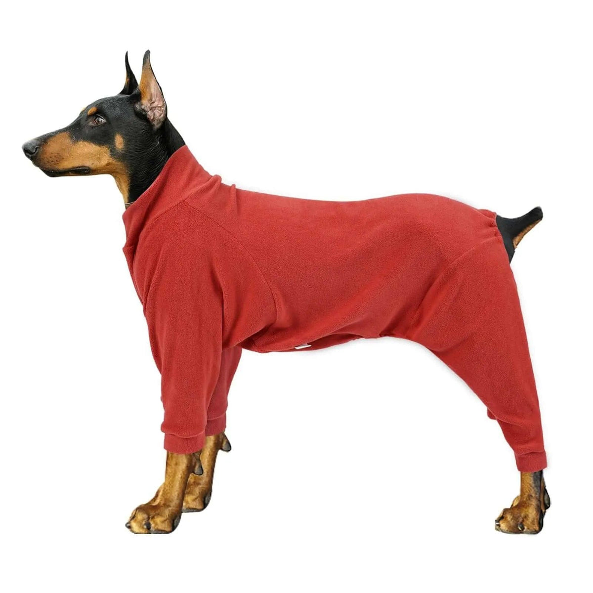 Black and tan dog wearing a red fabric full-body coat with a high neck and four sleeves against a white background.