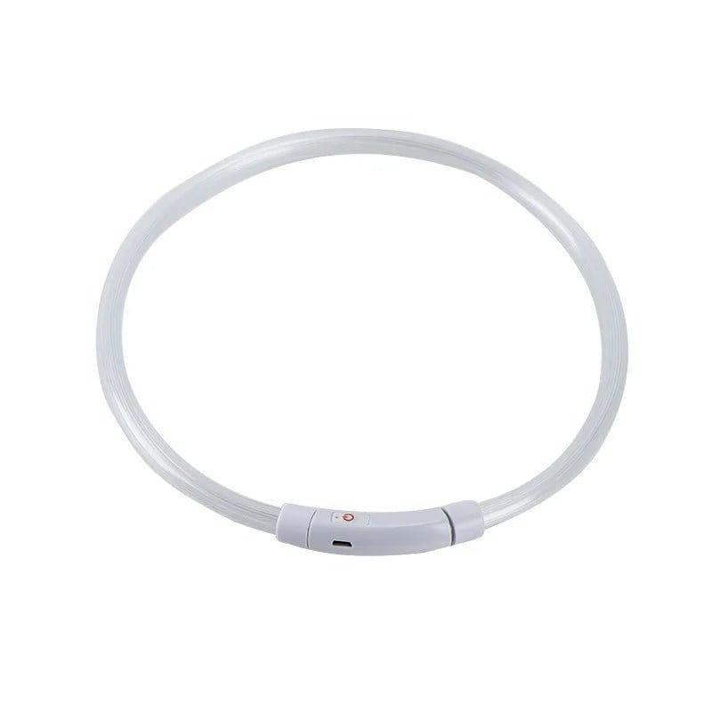 LED Dog Collar
