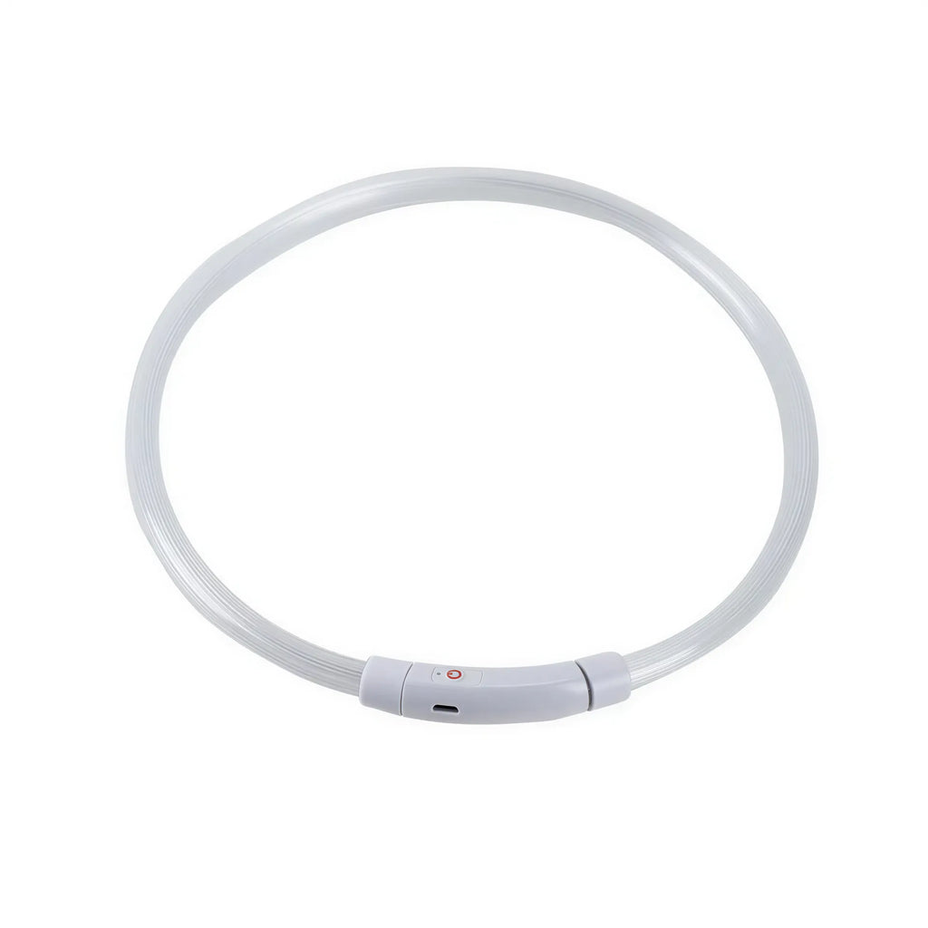 One white plastic LED dog collar with a round translucent light strip and a power button on the clasp.