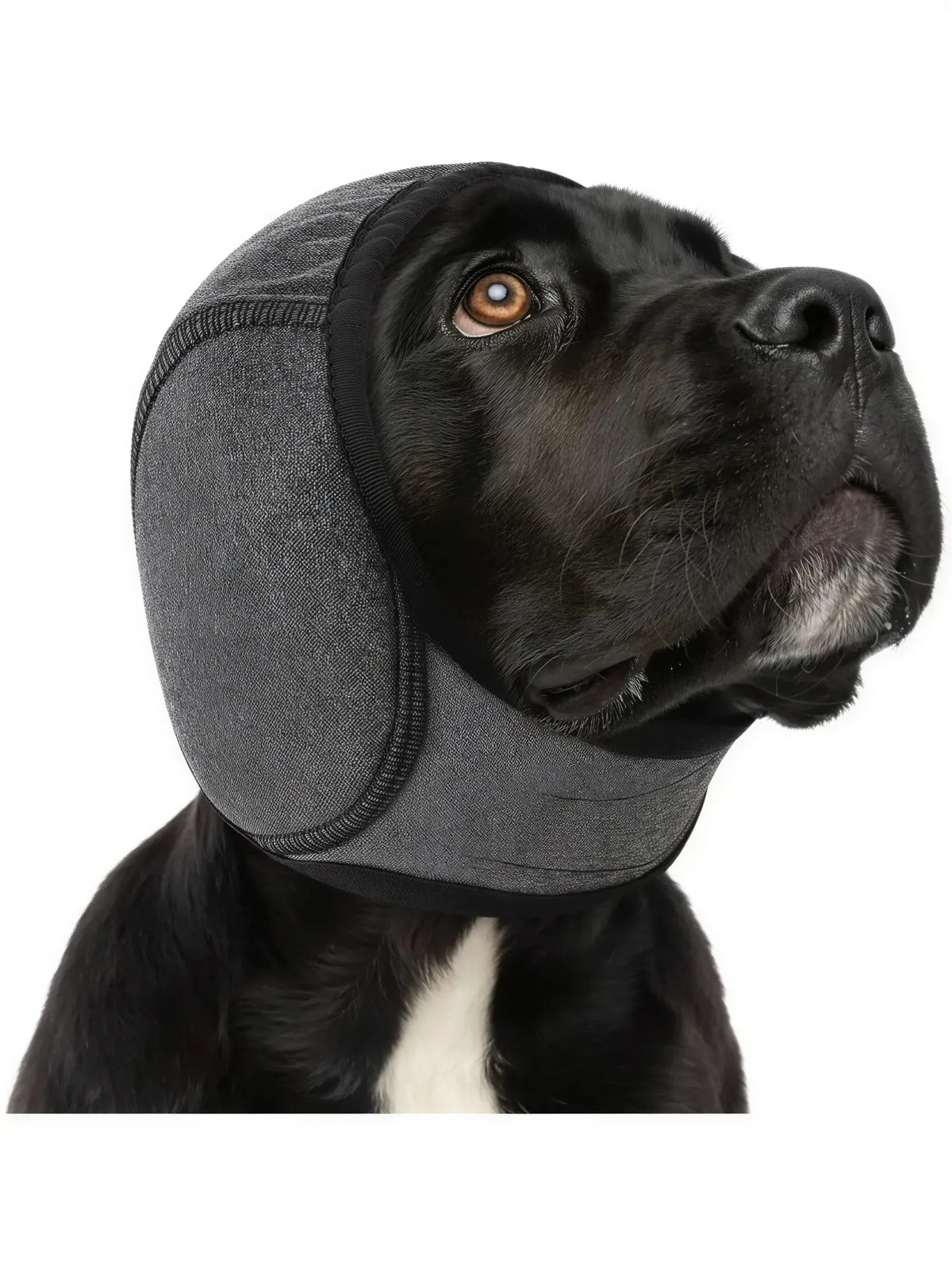 Dog Ear Wrap for Grooming – Adjustable Grey Hood