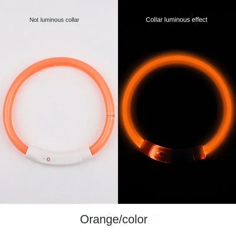 Glow in the Dark Dog  Collar