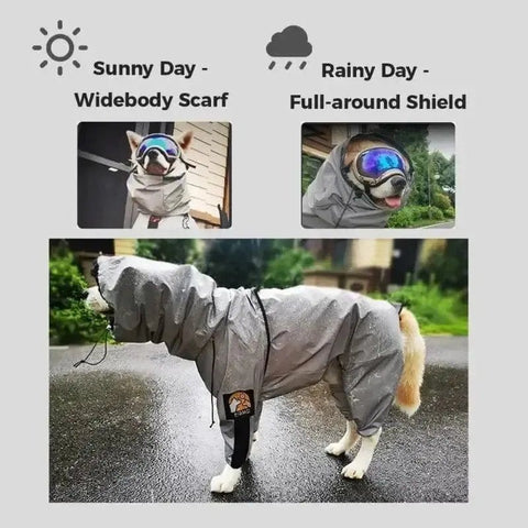 dog waterproof raincoat