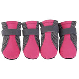 Hot Pavement Boots for Dogs