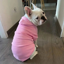 Dog Hoodie