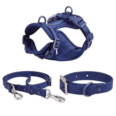 Puppy Collar and Harness Set