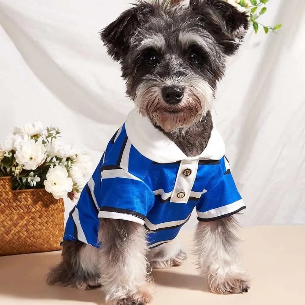 Dog Polo Shirts