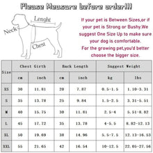 Dog Polo Shirt | Breathable Summer Pet Clothing | Hotdiggidydog®