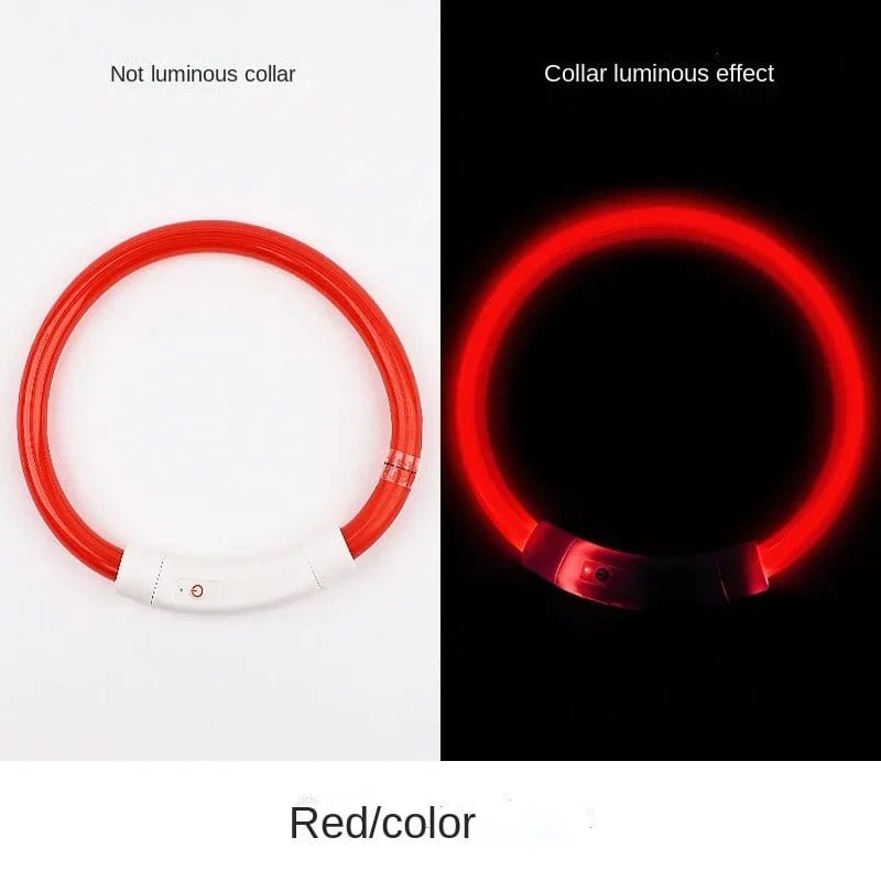 Glow in the Dark Dog  Collar