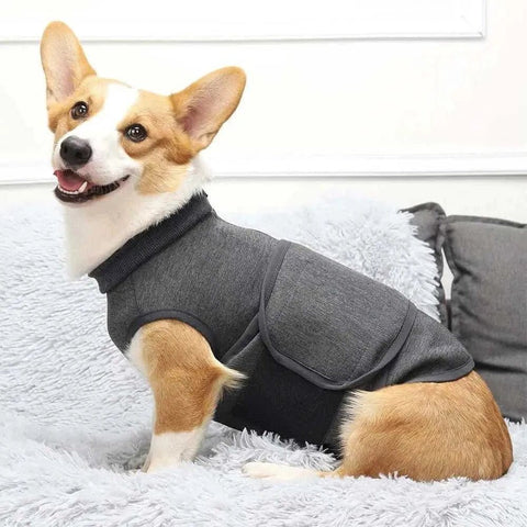 Calming vests for dogs