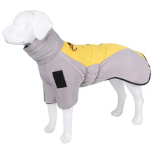 Dog Down Jacket