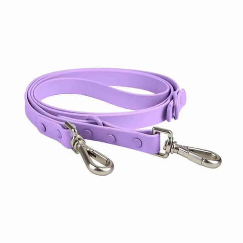 Puppy Collar and Harness Set