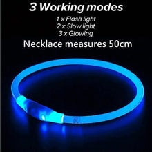 Glow in the Dark Dog Collar