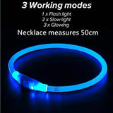 Glow in the Dark Dog Collar