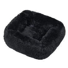 Plush Dog Beds Canada