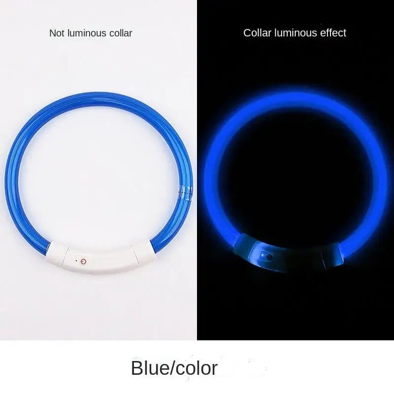 LED Dog Collar