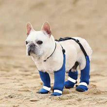 Dog Suspender Boots