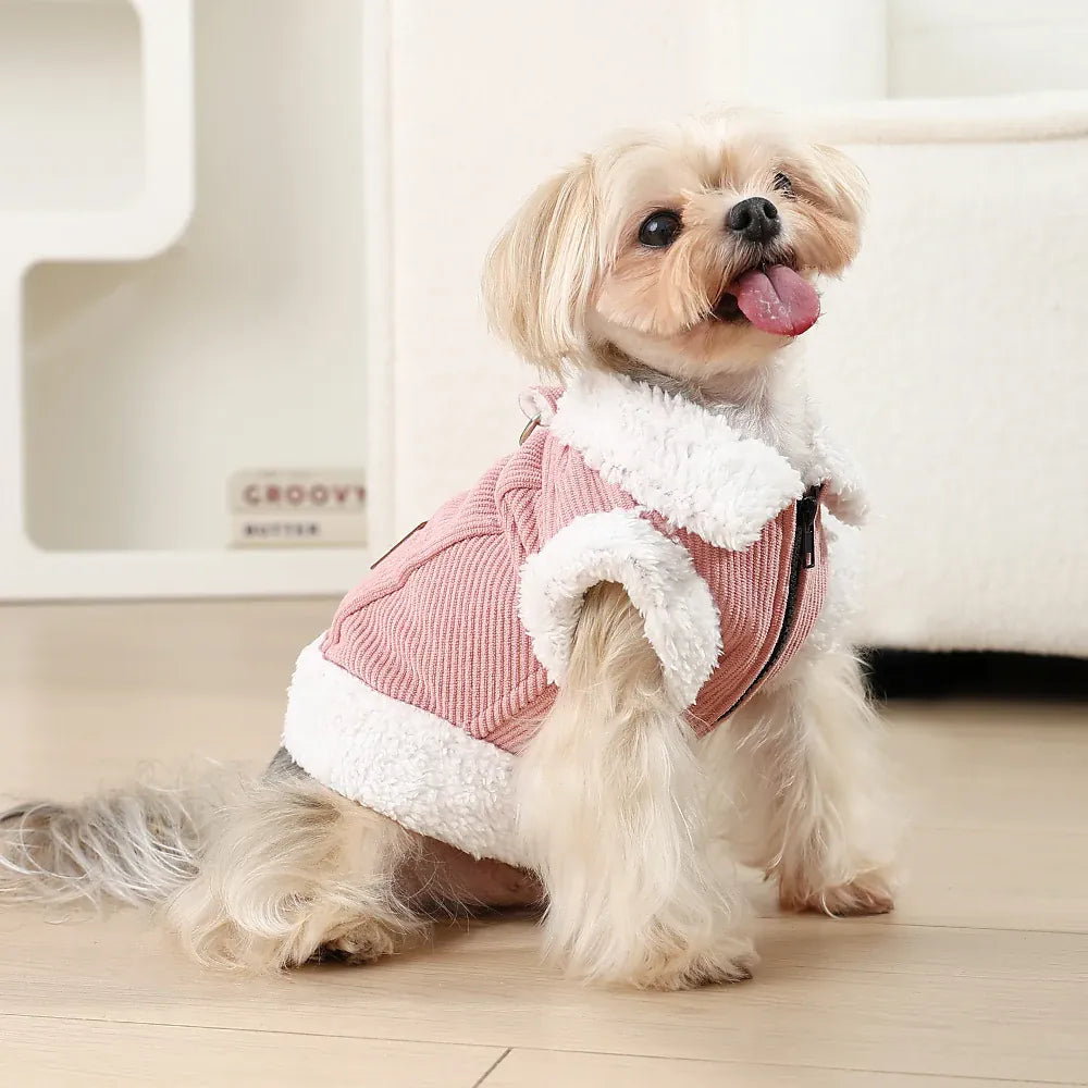 Small dog wearing a pink corduroy vest with white fleece trim and a zipper, sitting on a light wood floor.